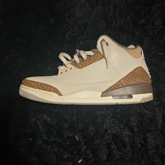 Jordan Athletic Shoes in Beige and Brown